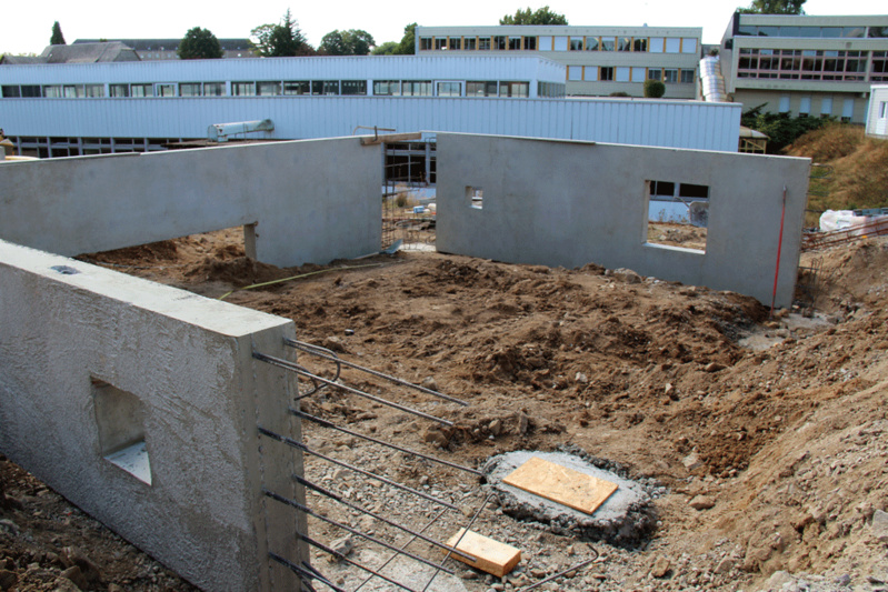 PROTECTIONS CONTRE LES TERMITES PROTECTIONS CONTRE LES TERMITES