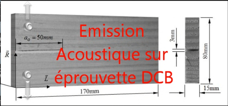 SUIVI DE FISSURATION PAR EMISSION ACOUSTIQUE