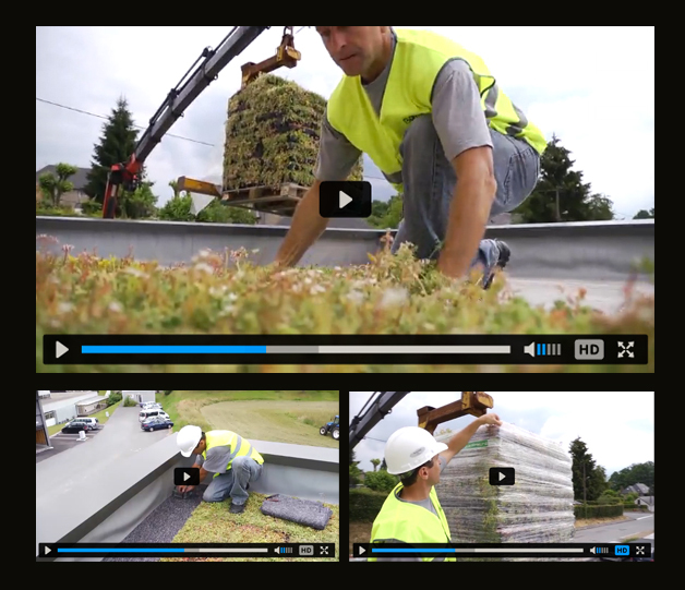 Vidéo : la végétalisation des toitures terrasses en construction ossature bois