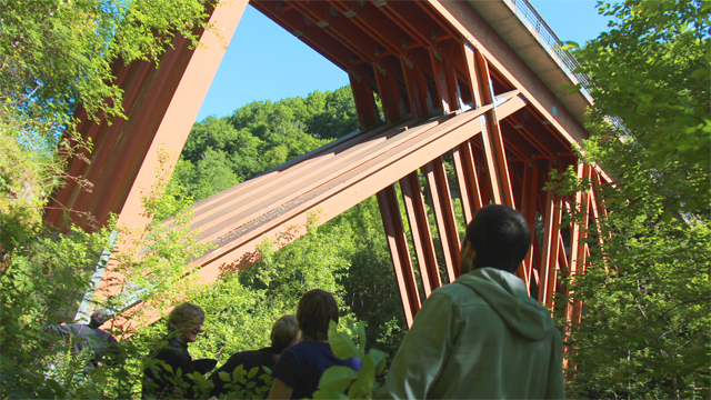 Pont de Merle : quand le douglas fait ouvrage d'Art