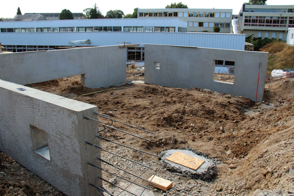 PROTECTIONS CONTRE LES TERMITES PROTECTIONS CONTRE LES TERMITES