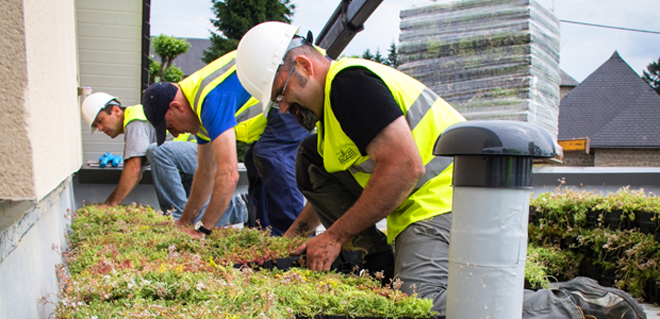 Végétalisation des toits terrasses pour les pros