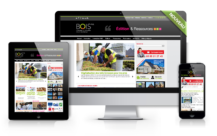 BOISPE.FR le nouveau site web de la construction bois et de la transition énergétique pour les PROS
