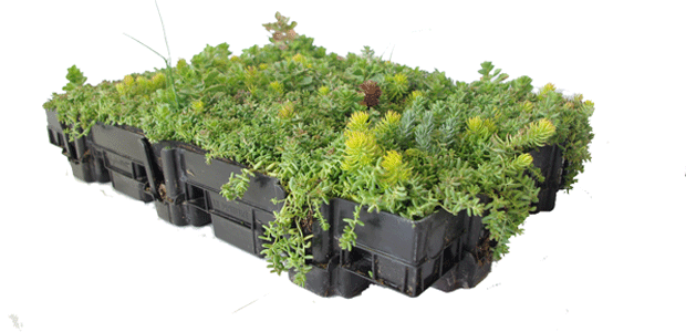 Le Prieuré Vegetal i.D. partenaire Bois PE Le Prieuré Vegetal i.D. partenaire Bois PE