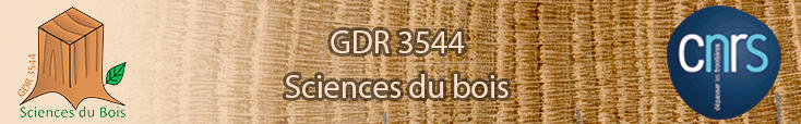 Journées scientifiques du GDR BOIS : du 4 au 6 novembre 2015 à Clermont-Ferrand