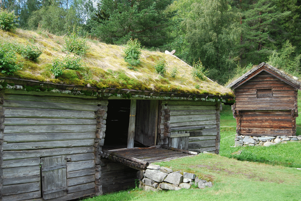 Les toitures végétalisées sont utilisées depuis très longtemps en Scandinavie. On y laisse pousser des arbustes et des petits résineux.