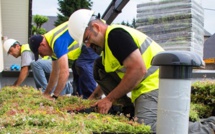 Végétalisation des toits terrasses pour les pros