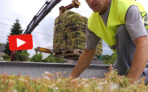 Vidéo : la végétalisation des toitures terrasses en construction ossature bois