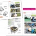 Livre Toitures terrasses sur ossature bois